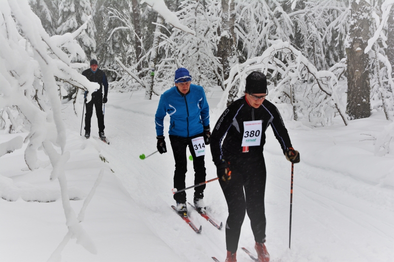 Klikkaamalla seuraava kuva